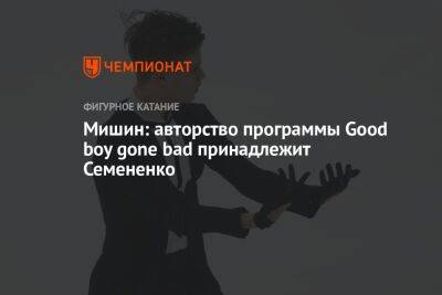 Мишин: авторство программы Good boy gone bad принадлежит Семененко