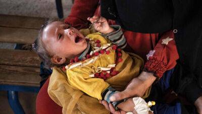 В Сирии разразилась масштабная эпидемия холеры
