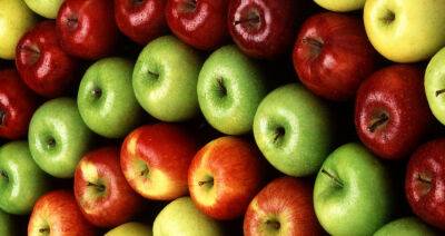 Итальянские производители яблок возвращаются в пещеры