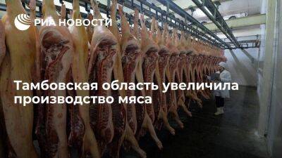 Тамбовская область увеличила производство мяса