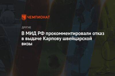 Мария Захарова - Анатолий Карпов - Геннадий Гатилов - В МИД РФ прокомментировали отказ в выдаче Карпову швейцарской визы - championat.com - Россия - Швейцария - Берн - Женева