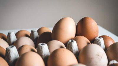 Как проверить свежее яйцо или нет: полезные методы