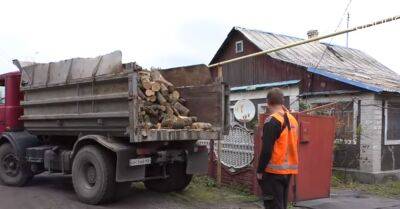 Украинцев бесплатно обеспечат дровами на зиму: в Кабмине сообщили, кто получит