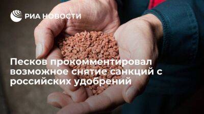 Пресс-секретарь Песков: логика продуктовой сделки требует снять санкции с удобрений