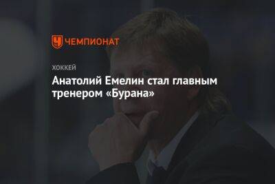 Анатолий Емелин стал главным тренером «Бурана»