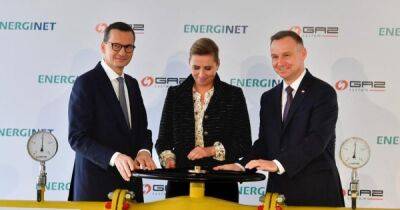В Польше открылся новый газопровод: норвежский газ приходит на смену российскому