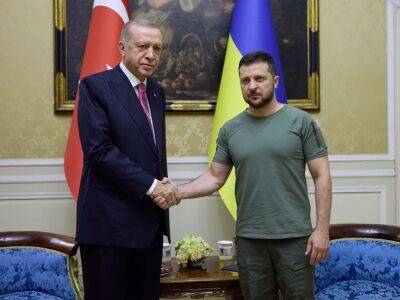 Эрдоган и Зеленский обсудили обмен военнопленными Украины и РФ, ситуацию на ЗАЭС и российские "референдумы"