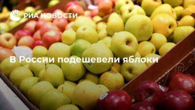 Росстат: в России с 20 по 26 сентября яблоки подешевели на 3,3 процента