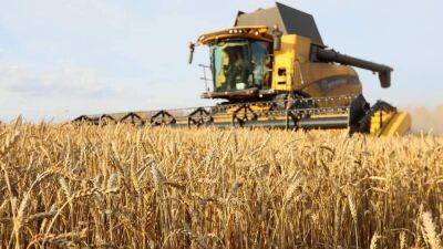 Золото полей: куда Россия экспортирует пшеницу