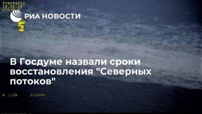 Депутат Госдумы Завальный заявил, что ремонт "Северных потоков" может затянуться на год