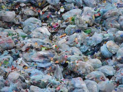Жители Гатчины задыхаются от вони из-за мусорного оползня
