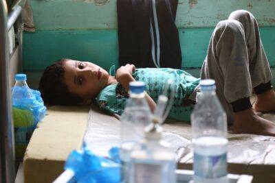 Вспышка холеры в Сирии дойдет до Израиля?