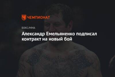 Александр Емельяненко подписал контракт на новый бой