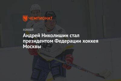 Андрей Николишин стал президентом Федерации хоккея Москвы