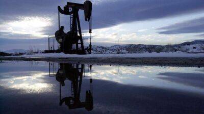 Новая встреча ОПЕК+ и предложение россии: как это повлияло на стоимость нефти