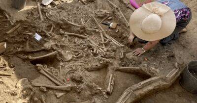 В Словакии нашли братскую могилу обезглавленных тел из каменного века (фото)