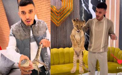 В Ташкенте оштрафовали блогера, использовавшего для рекламы магазина одежды львенка и крокодила