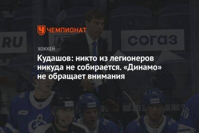 Кудашов: никто из легионеров никуда не собирается. «Динамо» не обращает внимания