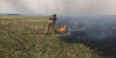 «Природа тоже за Украину». В Сумской области загорелся лес, огонь перекинулся на позиции россиян
