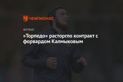 «Торпедо» расторгло контракт с форвардом Калмыковым