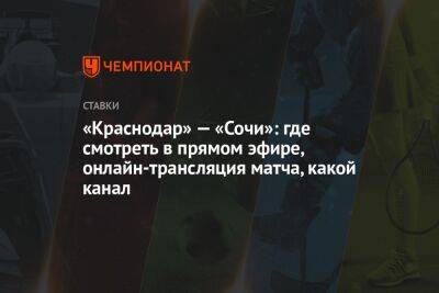 «Краснодар» — «Сочи»: где смотреть в прямом эфире, онлайн-трансляция матча, какой канал