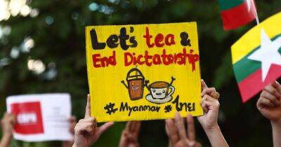 Альянс молочного чая за демократию в Азии и ряженка против Лукашенко