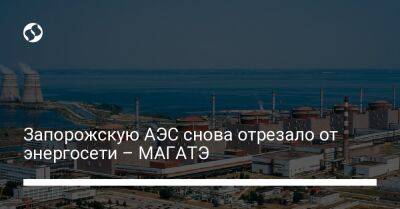Запорожскую АЭС снова отрезало от энергосети – МАГАТЭ