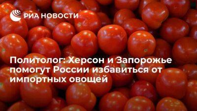 Политолог Суздальцев: Херсон и Запорожье помогут России избавиться от импортных овощей