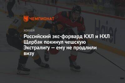 Российский экс-форвард КХЛ и НХЛ Щербак покинул чешскую Экстралигу — ему не продлили визу