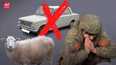 Неужели "Лады" закончились: в Сибири семьям мобилизованных выдают по 1 барану