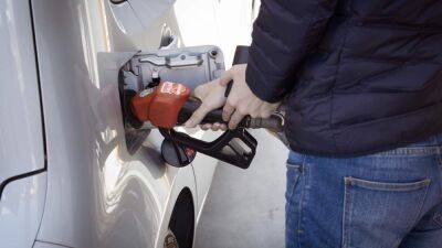 В Чехии зафиксировали самую низкую цену на топливо с 24 февраля: сколько сейчас стоит бензин