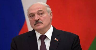 Лукашенко: мира на Украине можно достичь в течение нескольких дней