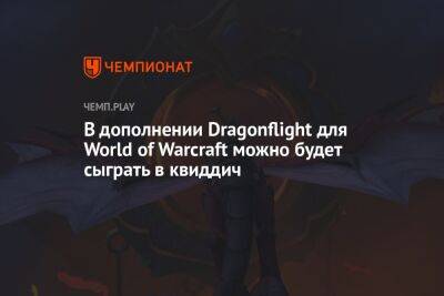 В дополнении Dragonflight для World of Warcraft будет аналог квиддича из «Гарри Поттера»