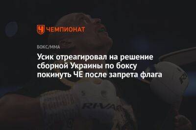 Усик отреагировал на решение сборной Украины по боксу покинуть ЧЕ после запрета флага
