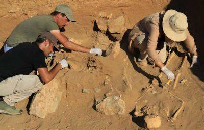 У стародавньому Анемуріумі знайдено поховання немовляти в глечику (Фото)