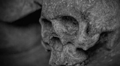 Череп людини прямоходячої віком близько мільйона років виявили в Китаї