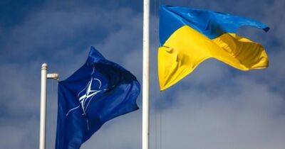 "Мы всегда были "за": МИД Канады и стран Балтии поддерживают желание Украины вступить в НАТО