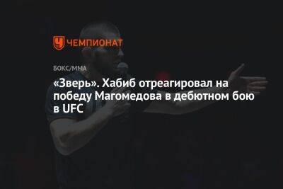 «Зверь». Хабиб отреагировал на победу Магомедова в дебютном бою в UFC