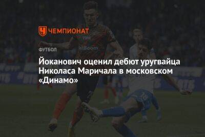 Йоканович оценил дебют уругвайца Николаса Маричала в московском «Динамо»