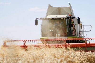 В Беларуси убрали более 97% зерновых