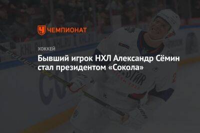 Бывший игрок НХЛ Александр Сёмин стал президентом «Сокола»