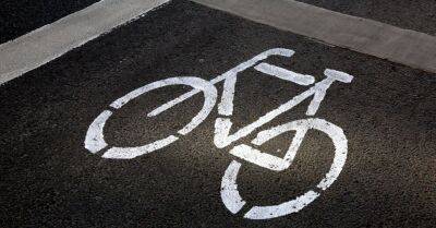 Собирают подписи за строительство велосипедной дорожки "Саласпилс-Рига".