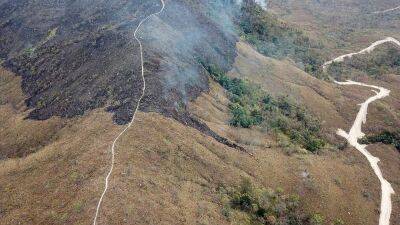 Амазония задыхается от дыма пожаров