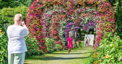 Самый большой фестиваль цветов в странах Балтии приглашает всех желающих до первых осенних заморозков