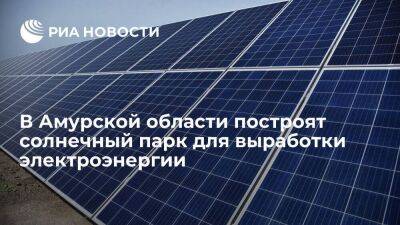 Губернатор Орлов: в Амурской области построят солнечный парк для выработки электроэнергии