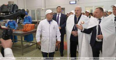 Lukashenko: Further modernization of agriculture is number one task for Belarus