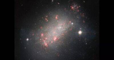 Большая оригиналка. Телескоп Хаббл сделал снимки галактики очень странной формы (фото)