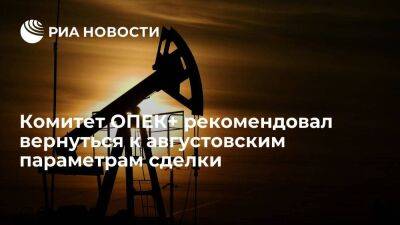 Комитет ОПЕК+ рекомендовал сократить добычу нефти на сто тысяч баррелей в сутки