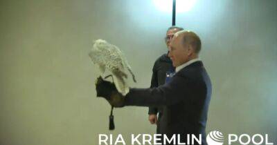 Пропагандисты Кремля показали, как Путин держал на руке сокола: птица все же решила улететь прочь (ВИДЕО)