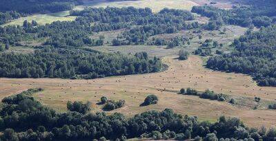 Запреты на посещение лесов действуют почти на всей территории Беларуси